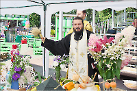 2018-08-19 Экологический фестиваль